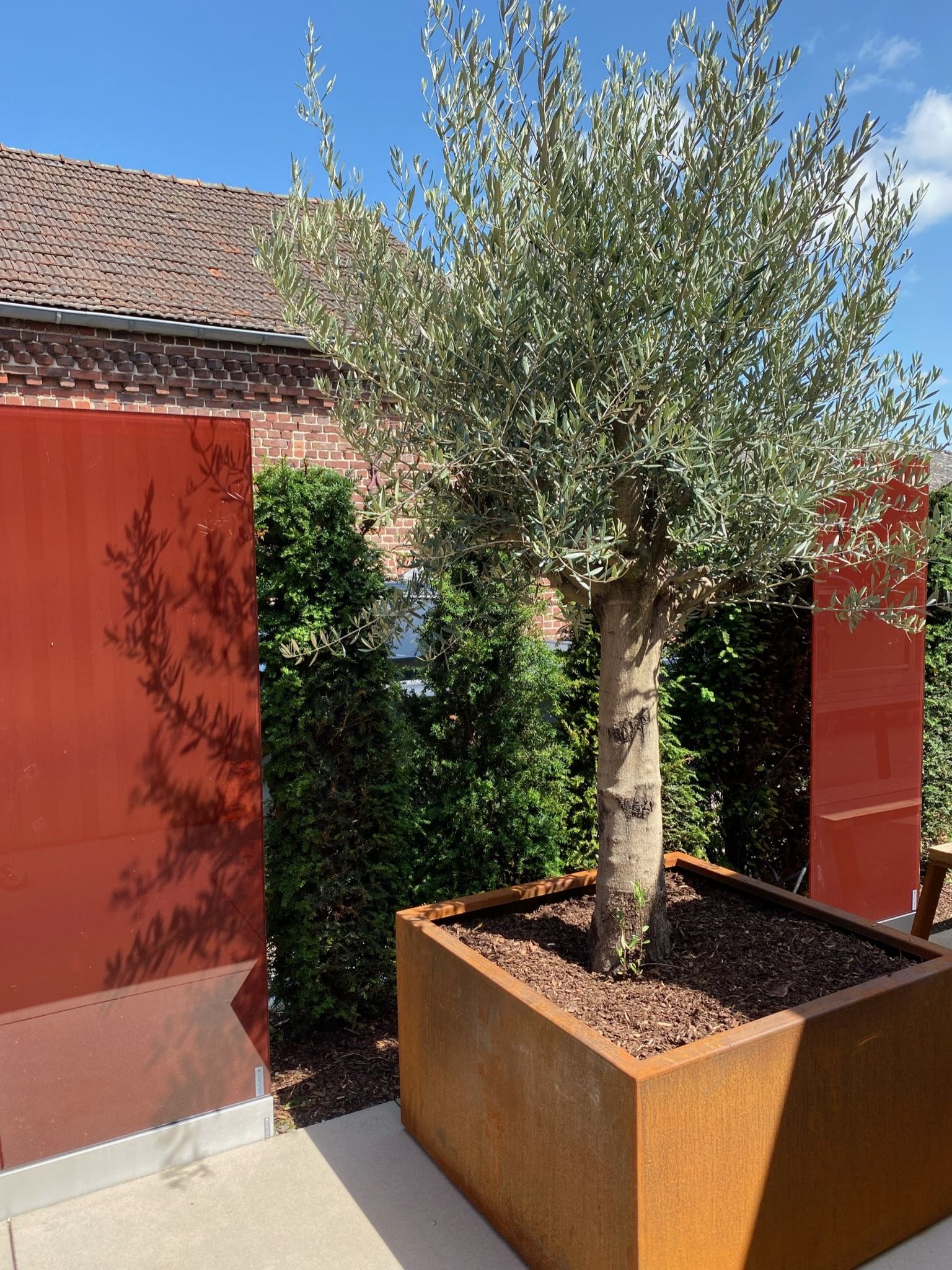 94F1DBD2 0032 4BEB A9C1 DD12725008E8 94F1DBD2 0032 4BEB A9C1 DD12725008E8